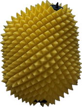 Load image into Gallery viewer, FWF PROLINE FILTER | 24-25 350/450/500 EXC-F, FE