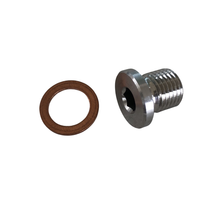 Load image into Gallery viewer, O2 SENSOR DELETE PLUG