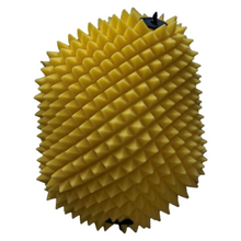 Load image into Gallery viewer, FWF PROLINE FILTER | 24-25 350/450/500 EXC-F, FE